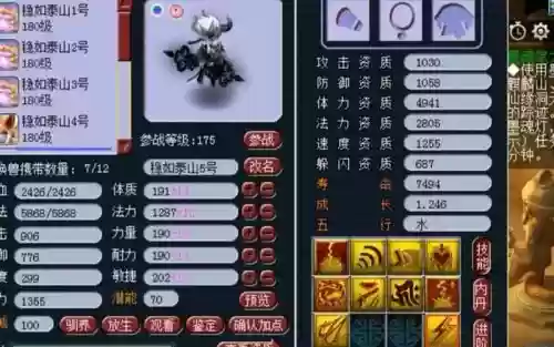梦幻西游最好的服战宝宝插图1