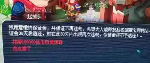 梦幻西游坐牢保释,梦幻西游保释金是什么意思插图 梦幻西游坐牢保释,梦幻西游保释金是什么意思插图