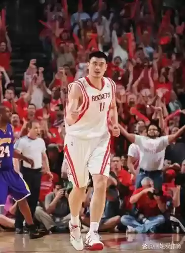 中锋最强壮的阵容搭配,中锋最强壮的阵容搭配是什么插图 中锋最强壮的阵容搭配,中锋最强壮的阵容搭配是什么插图