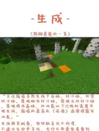 我得世界游戏攻略,我的世界的游戏攻略插图 我得世界游戏攻略,我的世界的游戏攻略插图