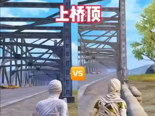 绝地求生堵桥阵容搭配推荐,绝地求生上桥顶技巧插图1 绝地求生堵桥阵容搭配推荐,绝地求生上桥顶技巧插图1