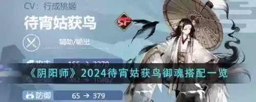 阴阳师鸟阵容搭配,阴阳师鸟配谁输出好插图 阴阳师鸟阵容搭配,阴阳师鸟配谁输出好插图