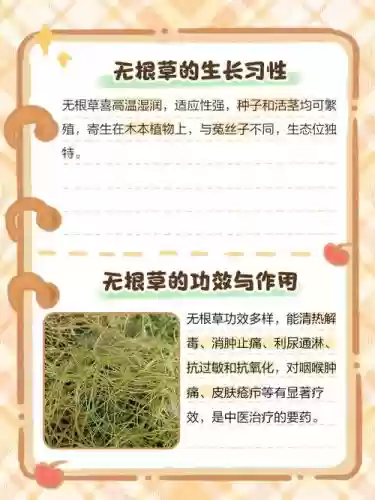活根草需要多少技能挖,活根草需要采药多少插图1 活根草需要多少技能挖,活根草需要采药多少插图1