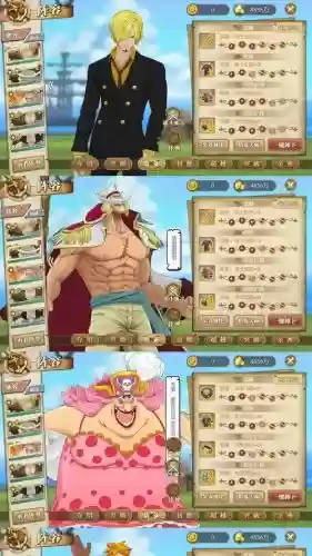 航海王olsss阵容搭配阵容搭配,航海王ss人物插图1 航海王olsss阵容搭配阵容搭配,航海王ss人物插图1