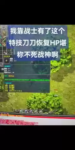 1.76版热血传奇战士技能,传奇176战士最强技能插图1 1.76版热血传奇战士技能,传奇176战士最强技能插图1