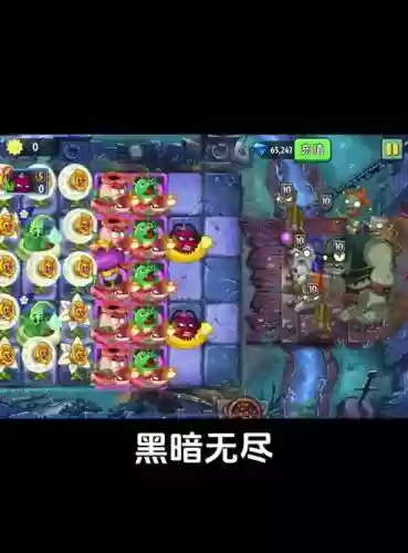 植物大战僵尸夜晚阵容搭配,植物大战僵尸夜晚阵型插图1 植物大战僵尸夜晚阵容搭配,植物大战僵尸夜晚阵型插图1