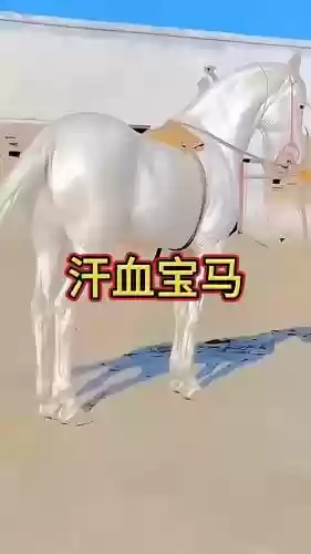 汗血宝马技能,汗血宝马有什么用插图1 汗血宝马技能,汗血宝马有什么用插图1