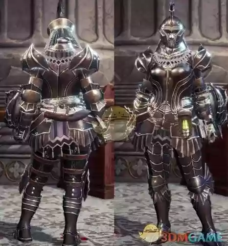 钢龙套装套装技能，钢龙套装效果插图