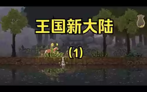 王国新大陆攻略在哪里,王国新大陆攻略大全插图1 王国新大陆攻略在哪里,王国新大陆攻略大全插图1