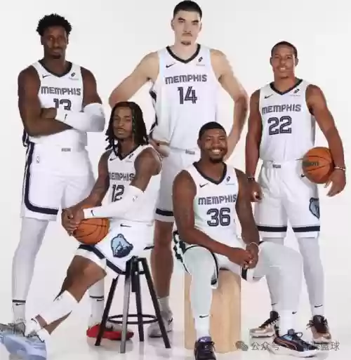 2018赛季灰熊阵容搭配,2019灰熊阵容插图 2018赛季灰熊阵容搭配,2019灰熊阵容插图