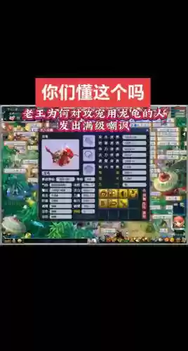 梦幻西游龙龟进阶装饰,梦幻西游进阶龙龟攻击动画插图 梦幻西游龙龟进阶装饰,梦幻西游进阶龙龟攻击动画插图