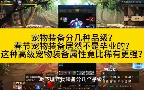 春节套宠物装备送几个,春节礼包宠物装备插图1 春节套宠物装备送几个,春节礼包宠物装备插图1