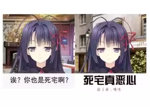 里想奈攻略，里奈是什么意思插图1