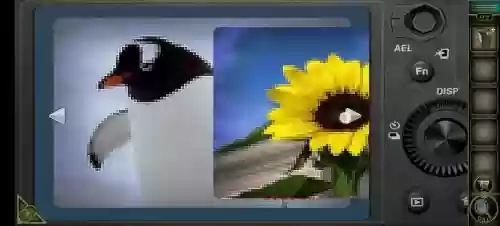 100个房间9第十关攻略,100个房间19关插图 100个房间9第十关攻略,100个房间19关插图