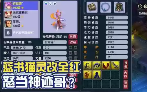 梦幻西游手游萌猫图鉴的作用,梦幻西游手游稀有萌宠插图 梦幻西游手游萌猫图鉴的作用,梦幻西游手游稀有萌宠插图